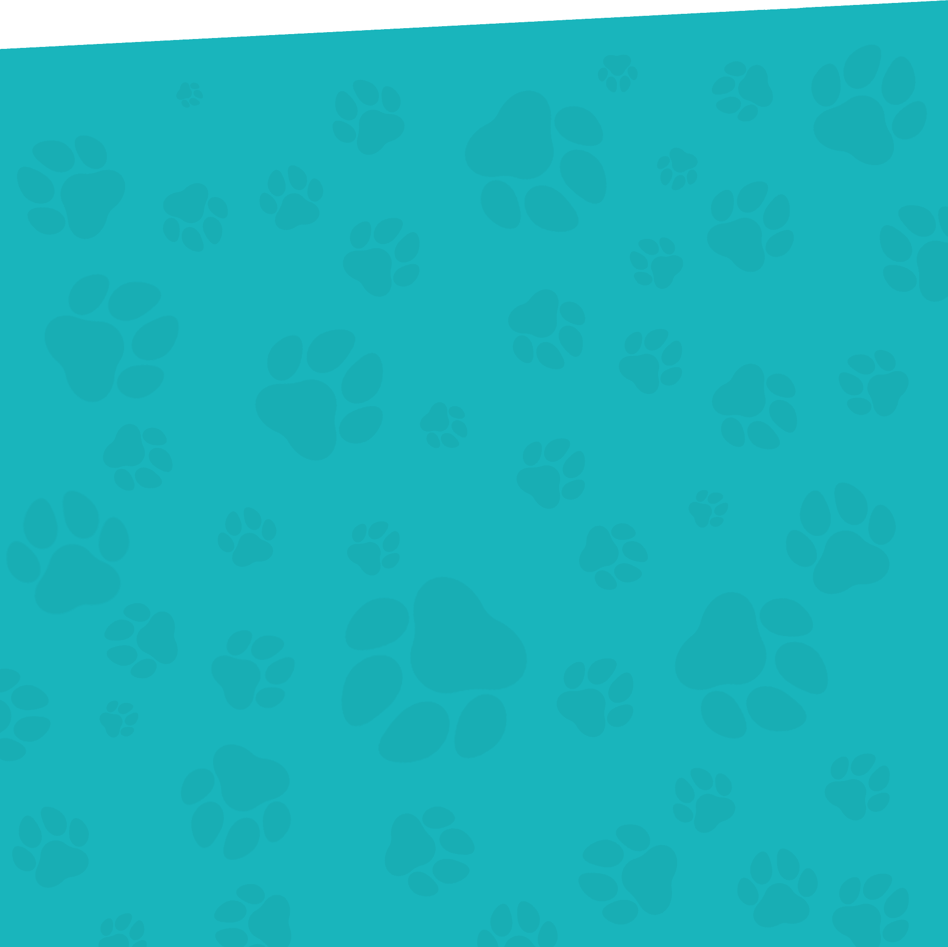 A turquoise background with various sizes of slightly darker turquoise paw prints scattered throughout, reminiscent of a playful and lively veterinary clinic. The paw prints overlap in some areas, enhancing the dynamic pattern.