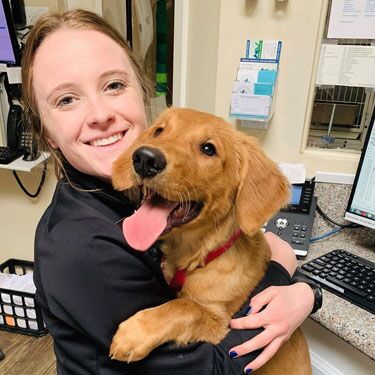 A woman with a big smile is holding a happy, young golden retriever puppy. The puppy, with its tongue out and wearing a red collar, looks thrilled. They seem to be in a vet's office or reception area, surrounded by various office supplies and equipment.